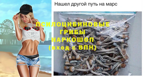 стаф Алзамай