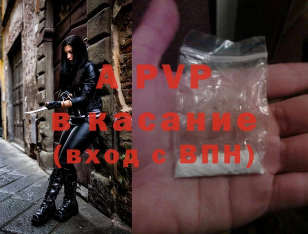 стаф Алзамай