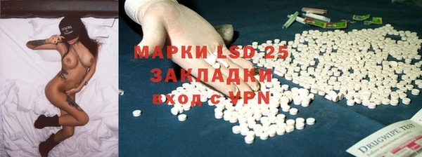 стаф Алзамай