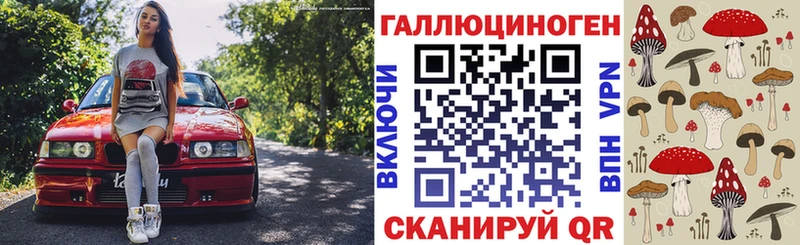 закладка  Таштагол  Псилоцибиновые грибы ЛСД 